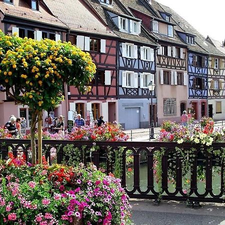 Colmar,Appart Chaleureux 2 Pas Centre Avec Jardin Eksteriør bilde
