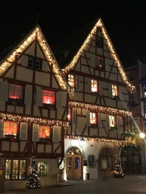 Colmar,Appart Chaleureux 2 Pas Centre Avec Jardin Eksteriør bilde