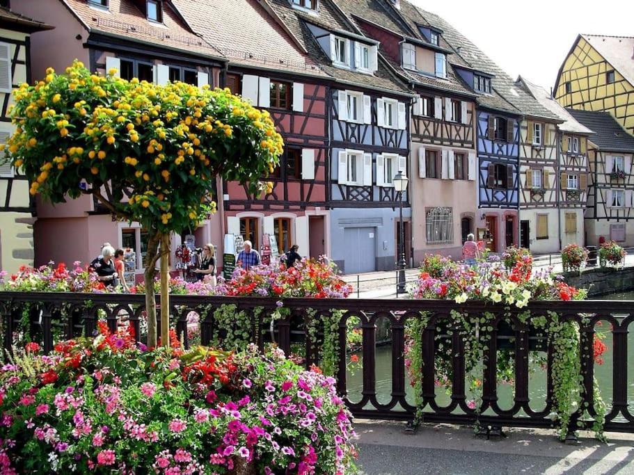 Colmar,Appart Chaleureux 2 Pas Centre Avec Jardin Eksteriør bilde